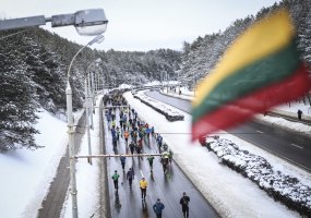 Lietuvoje minima Laisvės gynėjų diena - 3