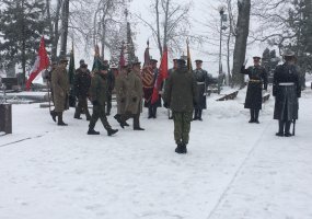 Lietuvos kariuomenės vadas:  - 4