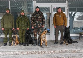 Inžinerijos bataliono keturkojai kariai protu ir gabumais nenusileidžia garsiajam komisarui Reksui  - 4