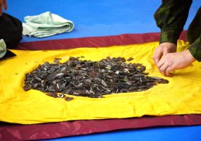 Fotogalerija: psichofizinio rengimo pratybos Lietuvos karo akademijoje  - 1