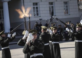Lietuvos įstojimo į NATO 15-ųjų metinių šventinis renginys vyko S. Daukanto aikštėje - 4