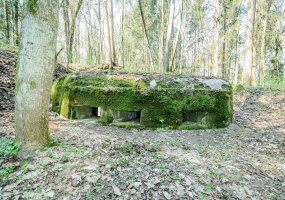 „Geležinio Vilko“ brigados kariai tvarkė I-ojo pasaulinio karo gynybinių įtvirtinimų teritoriją - 4