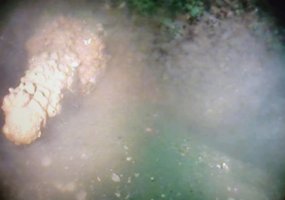 Lietuvos karo laivas prie Klaipėdos uosto vartų aptiko ir sunaikino Antrojo pasaulinio karo miną - 1
