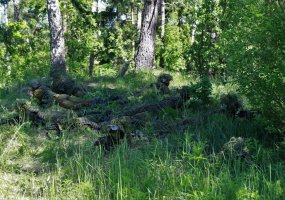 Jonušo Radvilos mokomajame pulke Bazinį kario kursą baigė  nuolatinės privalomosios pradinės karo... - 2