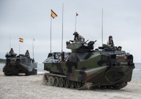 Nemirsetos paplūdimyje vyko pratybų BALTOPS 2019 karių išsilaipinimo operacija - 5