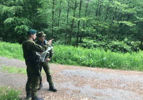 Soldiers of the Engineer Battalion improving skills at an exercise in Germany  - 1