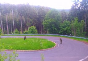 Soldiers of the Engineer Battalion improving skills at an exercise in Germany  - 4