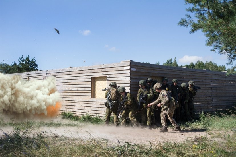 Joint Expeditionary Force personnel share experience at Kairiai Training Area 