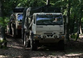 Sausumos pajėgų kariai dalyvauja pratybose „Jungtinis ryžtas“   - 2