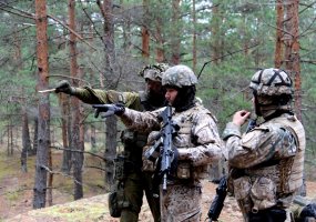 „Sidabrinė strėlė 2019“: Baltijos bataliono treniruotė - 4