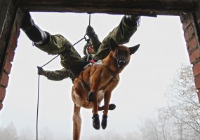 Inžinerijos bataliono karių pratybose naujas išbandymas ir K9 grandžiai - 3