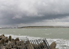 Greta pasirengimo šalies gynybai: 2019-aisiais Lietuvos kariai ieškojo pasiklydusiųjų,... - 2
