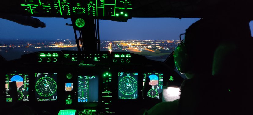 Lithuanian troops returned from the international operation in Mali, new rotation came in