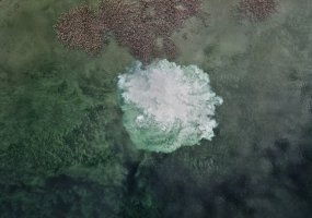 Inžinerijos bataliono išminuotojams tenka dirbti ir po vandeniu  - 3