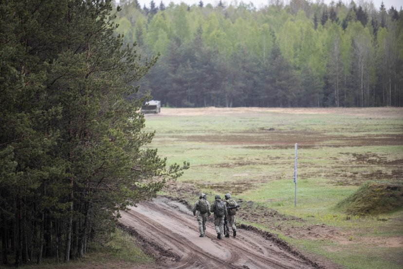 Lithuanian and allied soldiers practice coordination of air support at Kazlų Rūda range