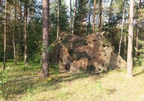 Kariai tobulino įgūdžius Autotechnikos seržanto kurse - 2