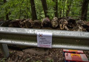 Sprogmenų neutralizavimo operacija Kaune - 6