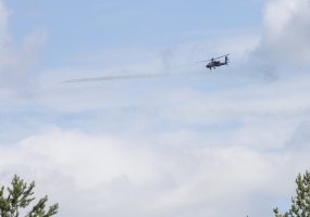 Paskutiniame pratybų ,,Grifono kirtis 2020 / Medžiotojas 2020’’ etape – pėstininkų operacija,... - 3