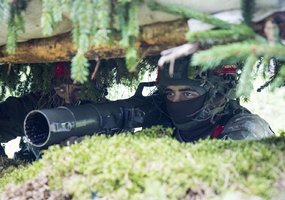 Multinational Exercise Iron Wolf 2021 I – interoperability and readiness to act alongside allies   - 3