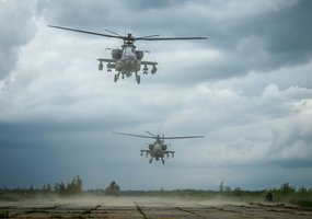 Multinational Exercise Iron Wolf 2021 I – interoperability and readiness to act alongside allies   - 1
