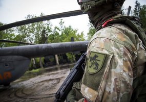 Multinational Exercise Iron Wolf 2021 I – interoperability and readiness to act alongside allies   - 4