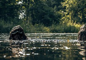 Karaliaus Mindaugo husarų bataliono snaiperiai tobulina įgūdžius - 6