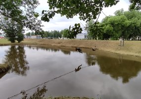 Geras fizinis karių parengimas – karinių užduočių įvykdymo garantas - 2