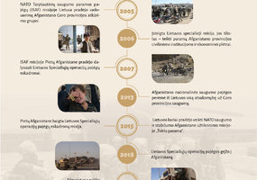 Apdovanoti iš tarptautinės operacijos Afganistane grįžę kariai - 8