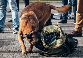Rezervistų rengimas tęsiasi: Karaliaus Mindaugo husarų batalione kartotinius mokymus pradeda dar... - 5