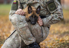 Inžinerijos batalione tarnybą pradėjo belgų aviganės Karma ir Mina - 7