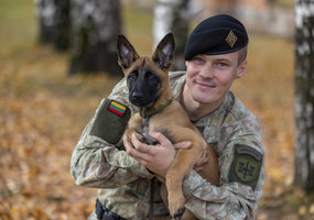 Inžinerijos batalione tarnybą pradėjo belgų aviganės Karma ir Mina - 9