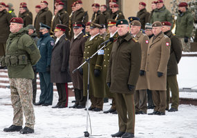 Krašto apsaugos savanorių pajėgos paminėjo 31-ąsias įkūrimo metines  - 12