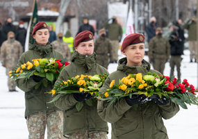 Krašto apsaugos savanorių pajėgos paminėjo 31-ąsias įkūrimo metines  - 14