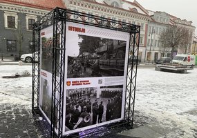 Krašto apsaugos savanorių pajėgos paminėjo 31-ąsias įkūrimo metines  - 15