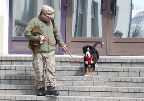 Lietuvos kariuomenėje minima Šuns diena: augintinius į tarnybą atsivedę kariai rinko paramą... - 17