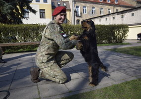 Lietuvos kariuomenėje minima Šuns diena: augintinius į tarnybą atsivedę kariai rinko paramą... - 9
