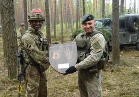 JEF – 10 šalių pajėgos, aktyvuojamos greičiau nei NATO 5-as straipsnis - 2