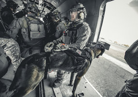 Special forces of 15 nations train in high-intensity environment - 7