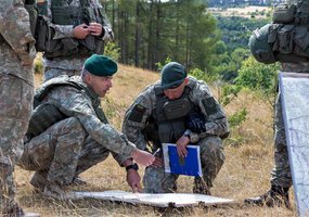 Mechanizuotoji pėstininkų brigada „Geležinis Vilkas" pasirengusi vykdyti užduotis - 4