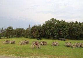 Lietuvos kariuomenės rezervas sustiprėjo beveik 800 karių - 13