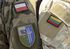 Kariai iš Lietuvos ir Lenkijos dalyvauja bendrose pratybose Alytuje - 1