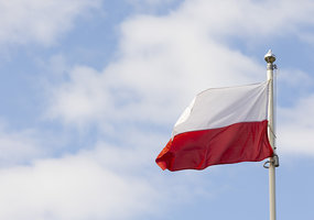 Kariai iš Lietuvos ir Lenkijos dalyvauja bendrose pratybose Alytuje - 9