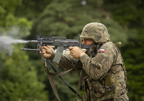 Kariai iš Lietuvos ir Lenkijos dalyvauja bendrose pratybose Alytuje - 10