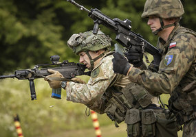 Kariai iš Lietuvos ir Lenkijos dalyvauja bendrose pratybose Alytuje - 2