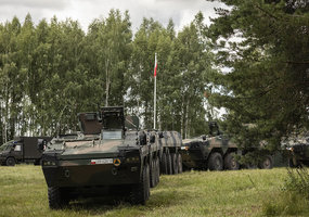 Kariai iš Lietuvos ir Lenkijos dalyvauja bendrose pratybose Alytuje - 12