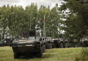 Lithuanian and Polish troops train side by side in Alytus - 11