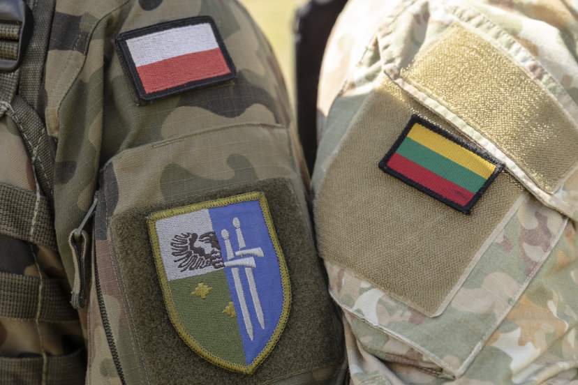 Kariai iš Lietuvos ir Lenkijos dalyvauja bendrose pratybose Alytuje