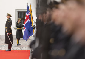 Lithuanian and Icelandic Chiefs of Defence visited Ukrainian troops on demining training - 5