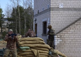 Tęsiasi Ukrainos karių rengimas - 3