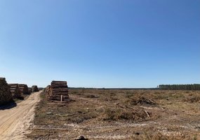 Vieneri atkurto Rūdninkų poligono metai: išminavimas, šaudyklos ir infrastruktūros kūrimas - 3